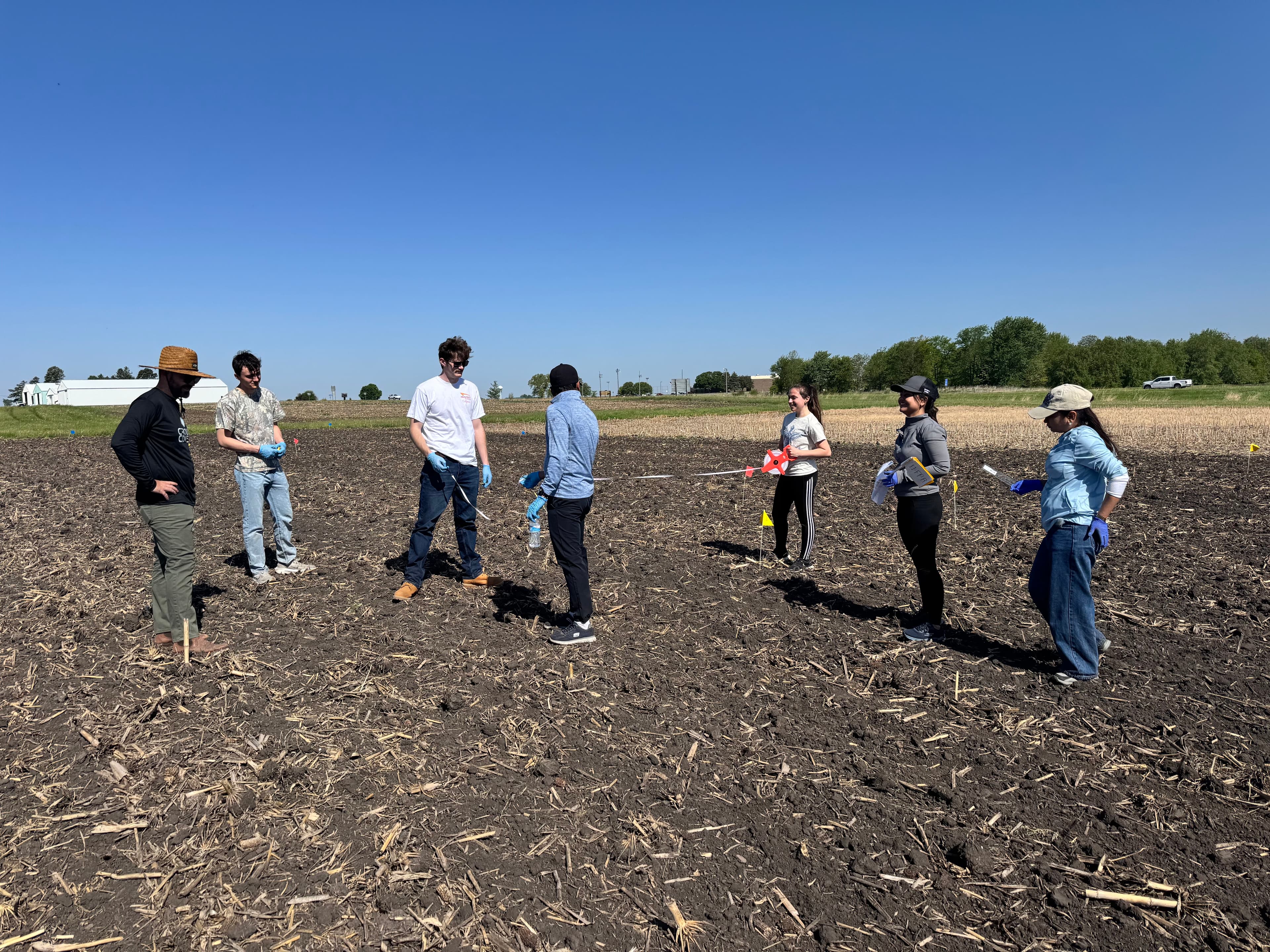 A group of researchers in gloves laying out a field-trial grid with measuring tape and marker flags in a tilled field.
