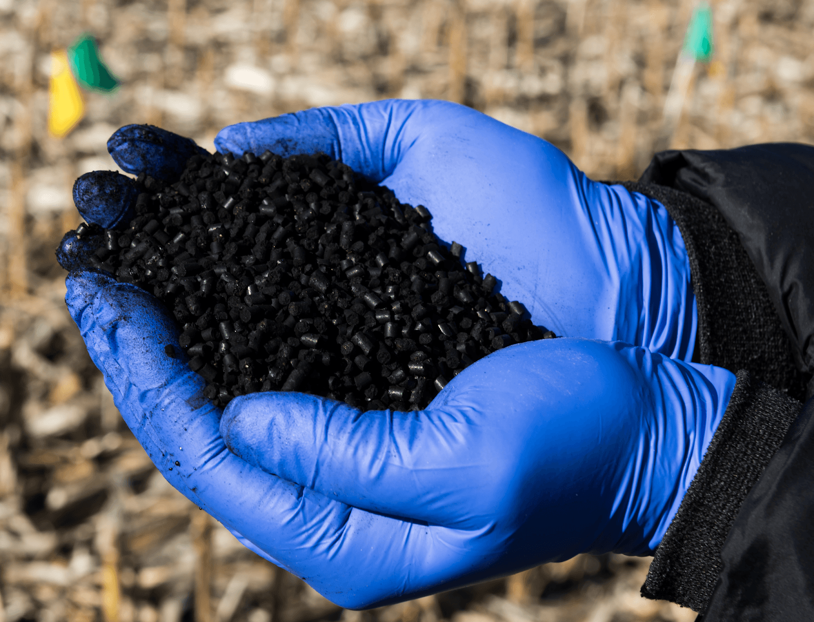 Black Nitrogen Reformed fertilizer pellets held in blue nitrile-gloved hands.